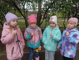 Всемирный день одуванчика Всемирный день одуванчика.